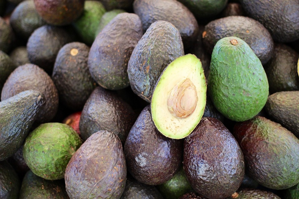 El 85 por ciento de las exportaciones de aguacate mexicano se realizan a los Estados Unidos. (Especial)
