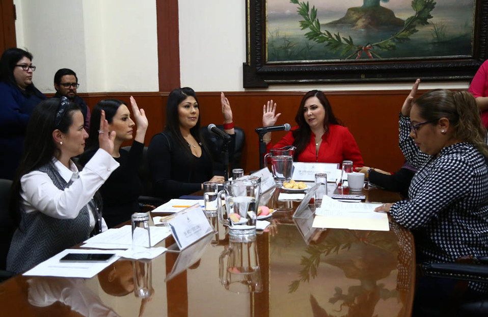 La reforma fue aprobada por la  Comisión de Igualdad Sustantiva y de Género (Especial)