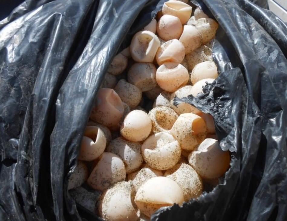 Los huevos eran transportados en dos costales y una mochila. (Óscar Rodríguez)