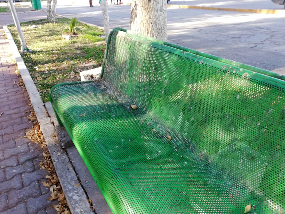El parque está por cumplir 110 años. (Especial)