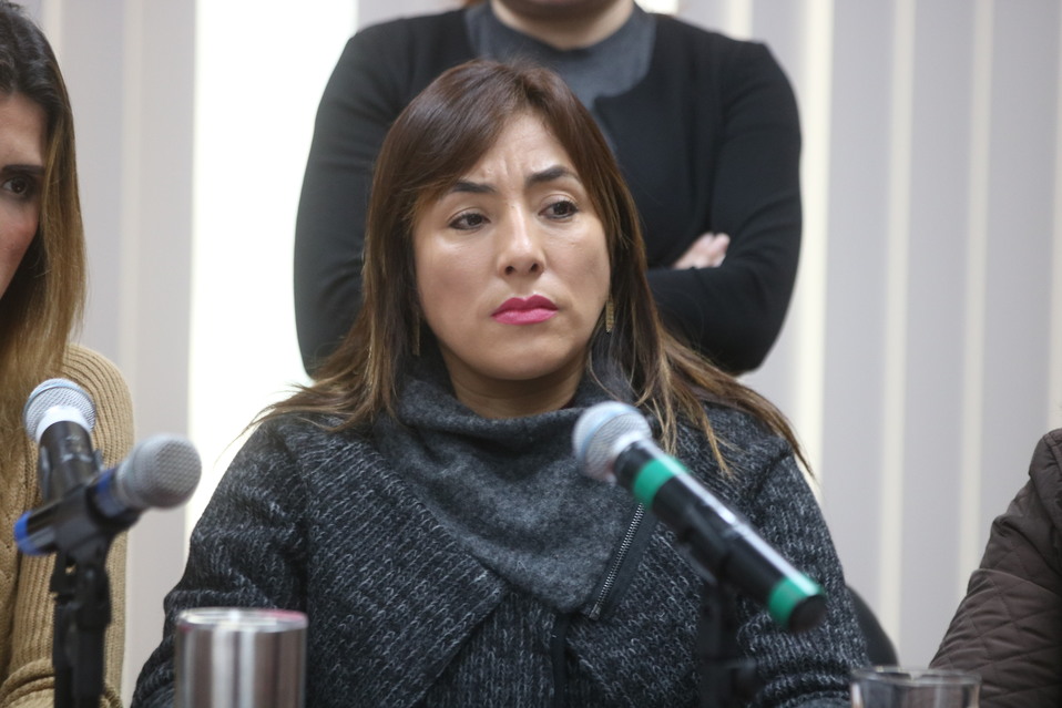 La diputada de Morena, Julia Espinosa de los Monteros. (Leonel Rocha)
