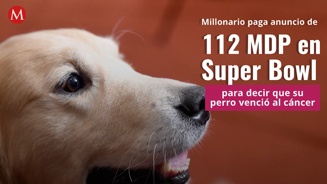 Paga más de 112 mdp por anuncio en Super Bowl para celebrar que su perro venció el cáncer