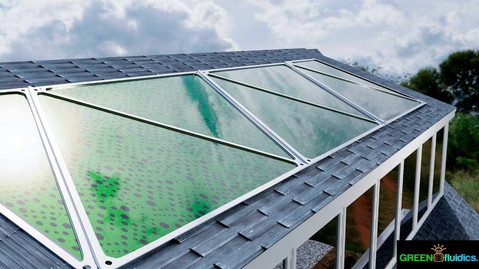 Panel Solar a base de algas marinas (Especial)