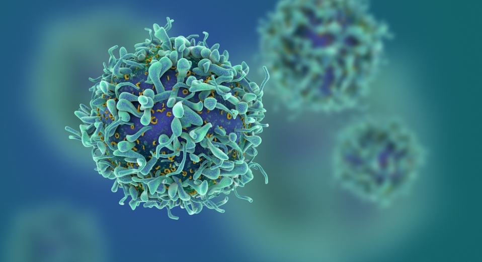 Te decimos qué es el Día Mundial contra el Cáncer. (Shutterstock)