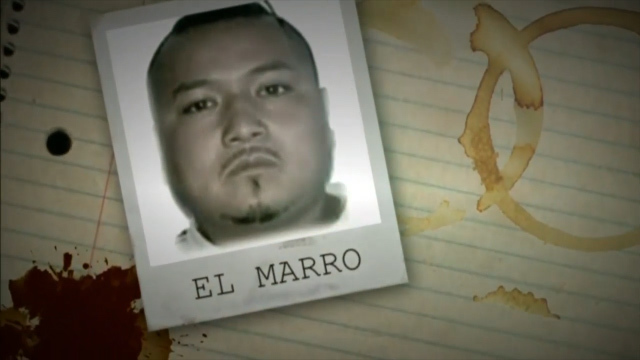 El Gobierno puso en marcha el Operativo Golpe de Timón para capturar a 'El Marro'
