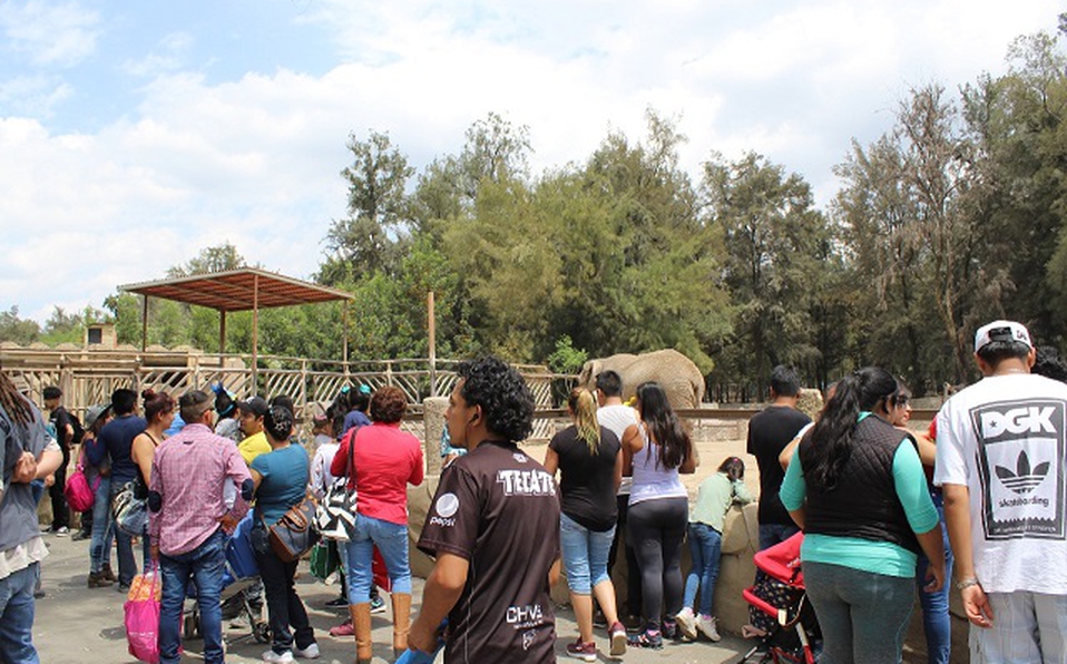 Zoológico de León. ARCHIVO