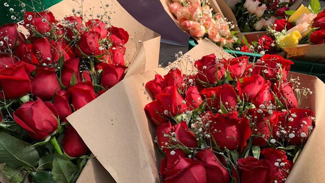 ¿Cuáles son los lugares más visitados en San Valentín?