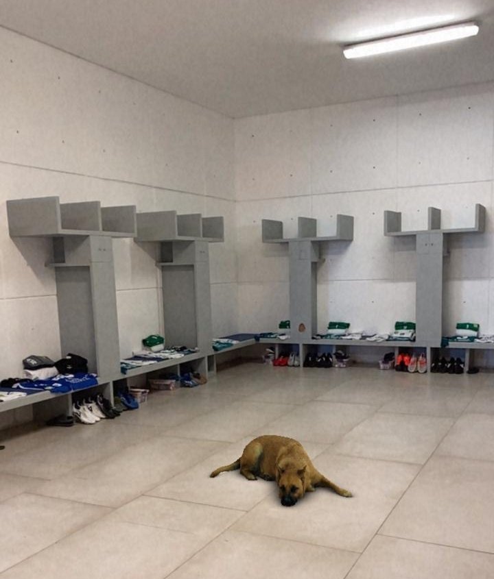 Tunita se infiltra en los vestidores de León (Twitter: @clubleonfc)