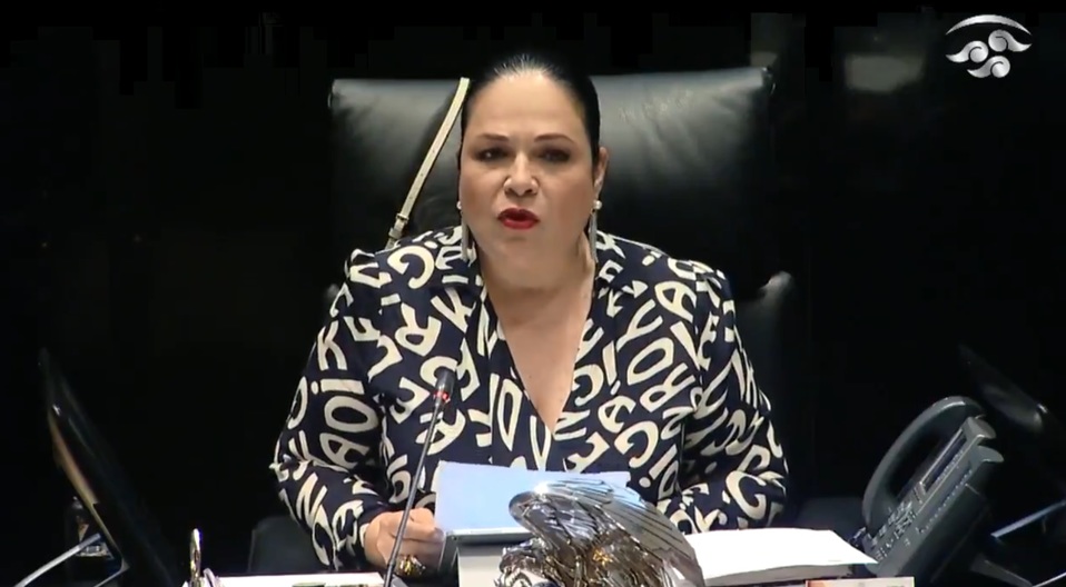 Mónica Fernández, presidenta del Senado (Especial)