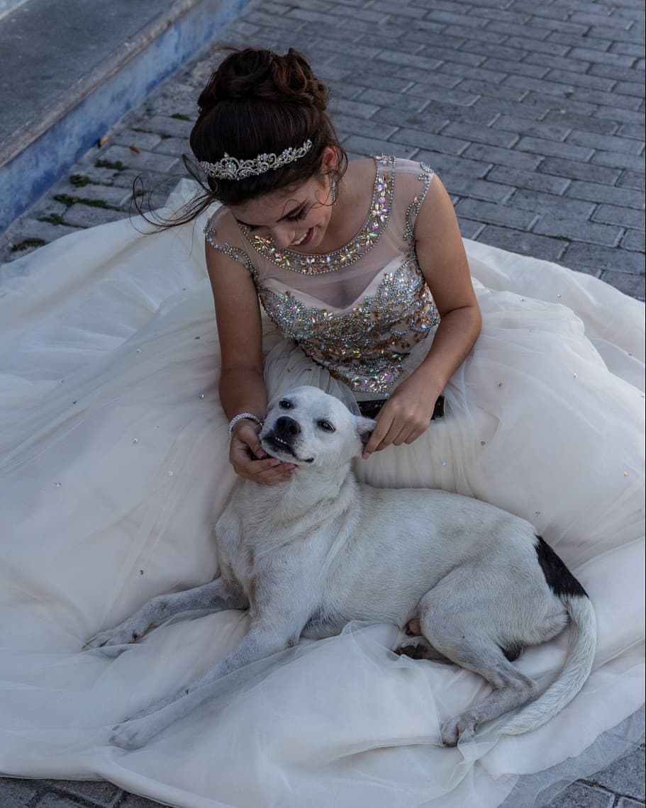 La quinceañera acariciando al perrito (Instagram @nester.nunez.9)