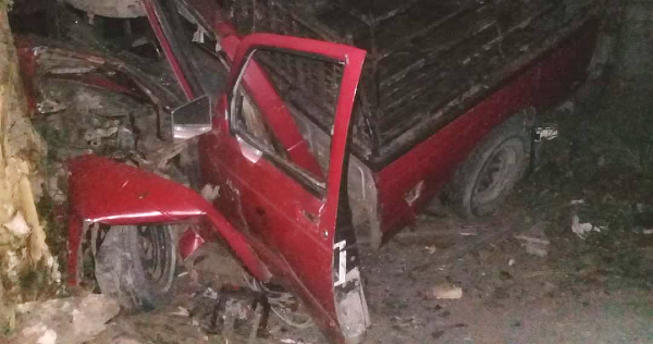Se estampa contra árbol en Altamira (Foto/Cortesía)