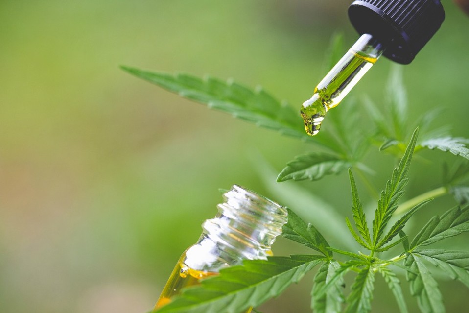 Cannabidiol (Shutterstock).