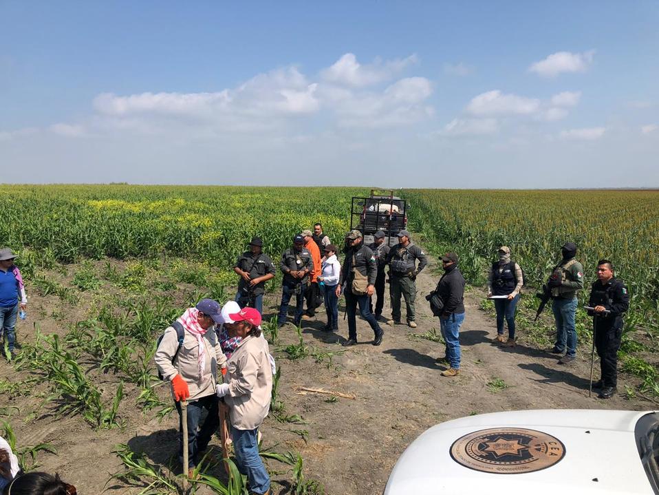 Búsqueda de desaparecidos en el sur de Tamaulipas (Foto/CORTESÍA)