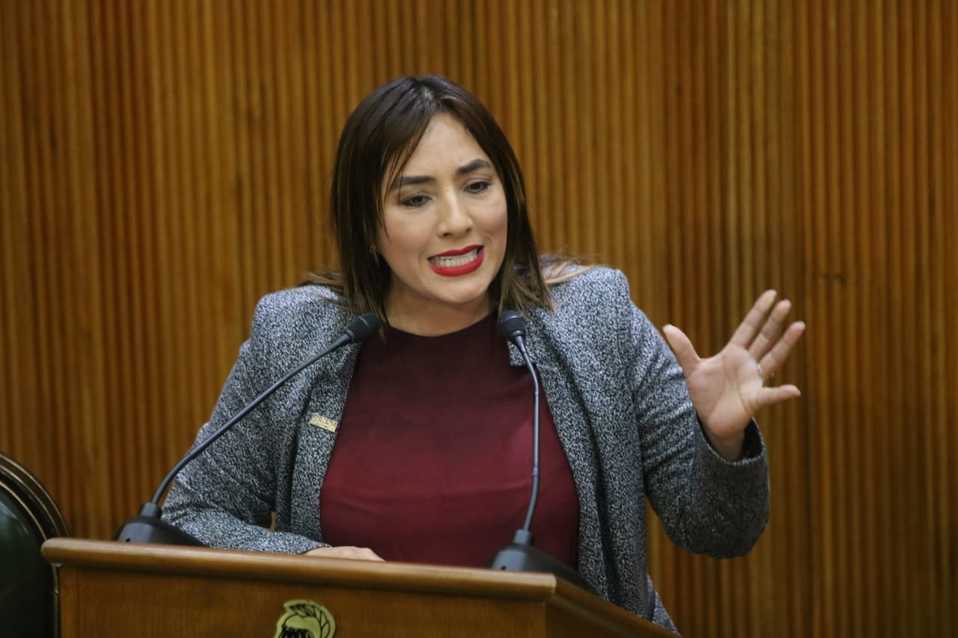 Julia Espinosa de los Monteros, diputada de Morena. Foto: Leonel Rocha.