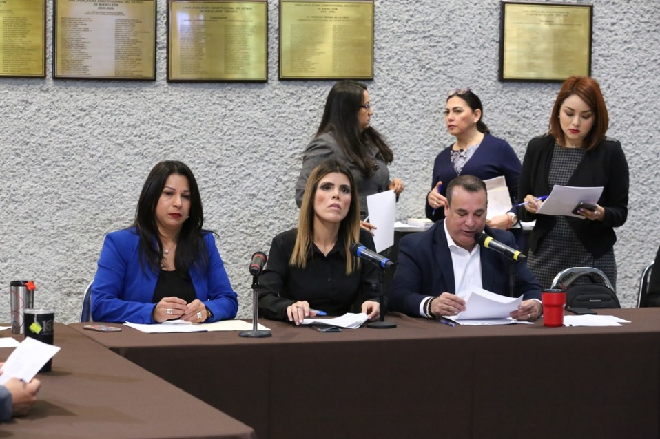 Se crearán dos consejos en relación al tema la Ley de Protección Animal y del cambio climático. (Raúl Palacios)