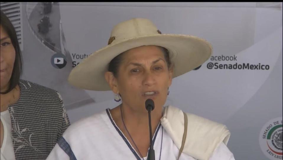 La senadora dijo que el país estará pendiente de discusión en el Senado.