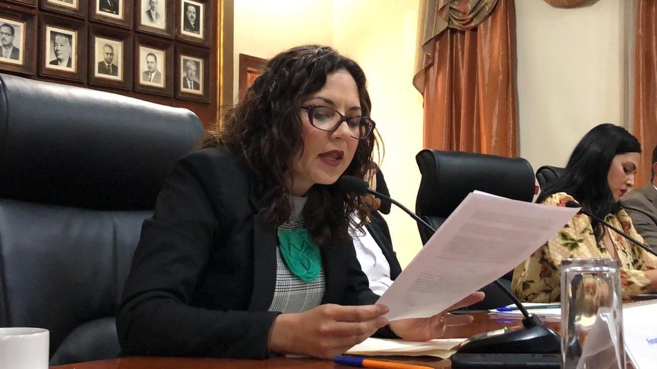 Regidora del Partido Verde Ecologista, Fernanda Rentería. Cortesía
