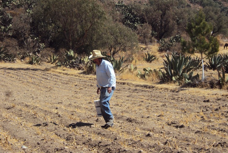 Sequía en Hidalgo. (Archivo)