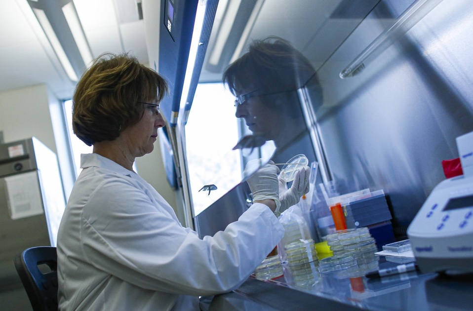 Una investigadora desarrolla pruebas para detectar coronavirus. (AFP)
