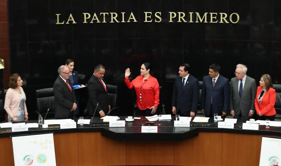 Presidenta del Senado, Mónica Fernández. (Especial)