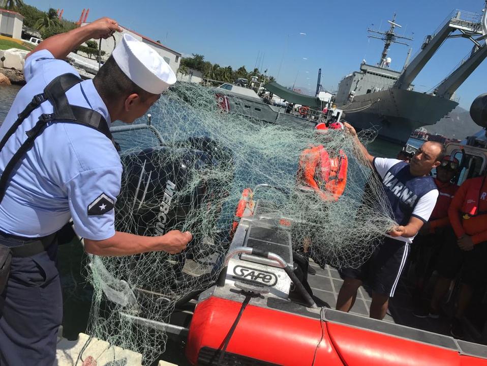 Rescatan cría de ballena jorobada en Manzanillo. (Fanny Miranda)