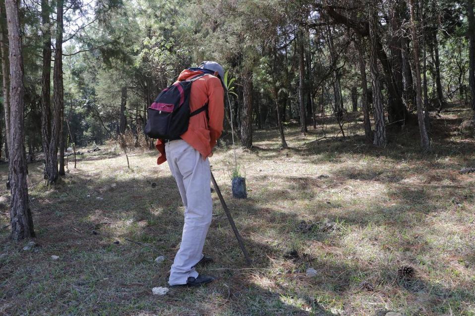 La fiscalía determinó la responsabilidad de la persona e impuso una sentencia reparatoria. (Tomadas de https://www.fge.chiapas.gob.mx/)