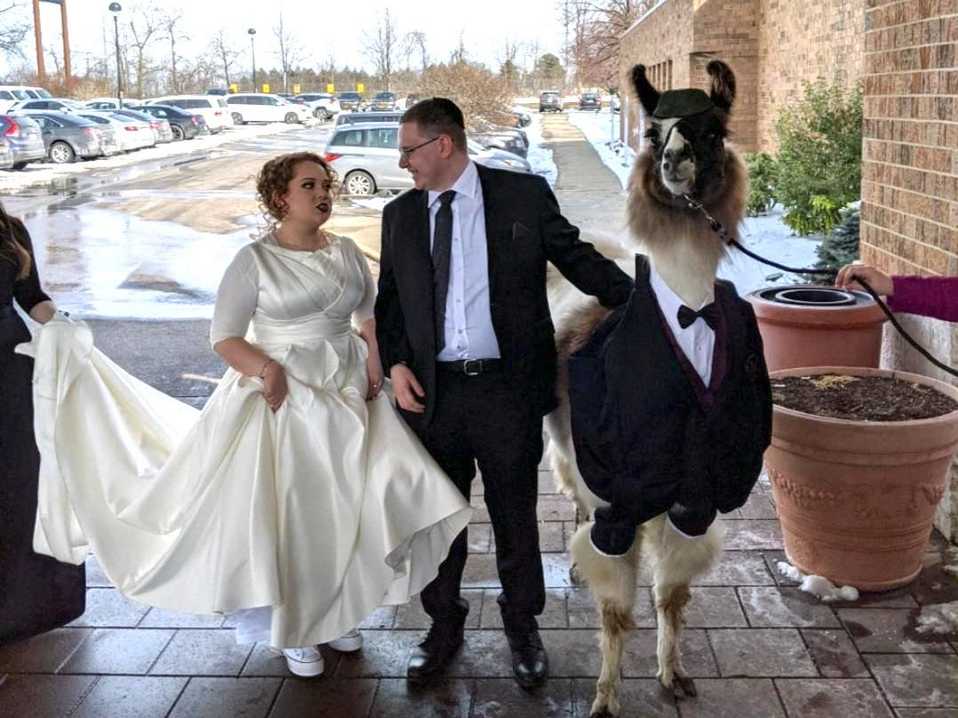 Hombre llevó a un peculiar acompañante a la boda de su hermana.(Insider)