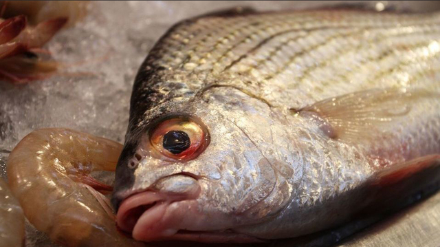 Alerta de fraude al comprar pescado congelado