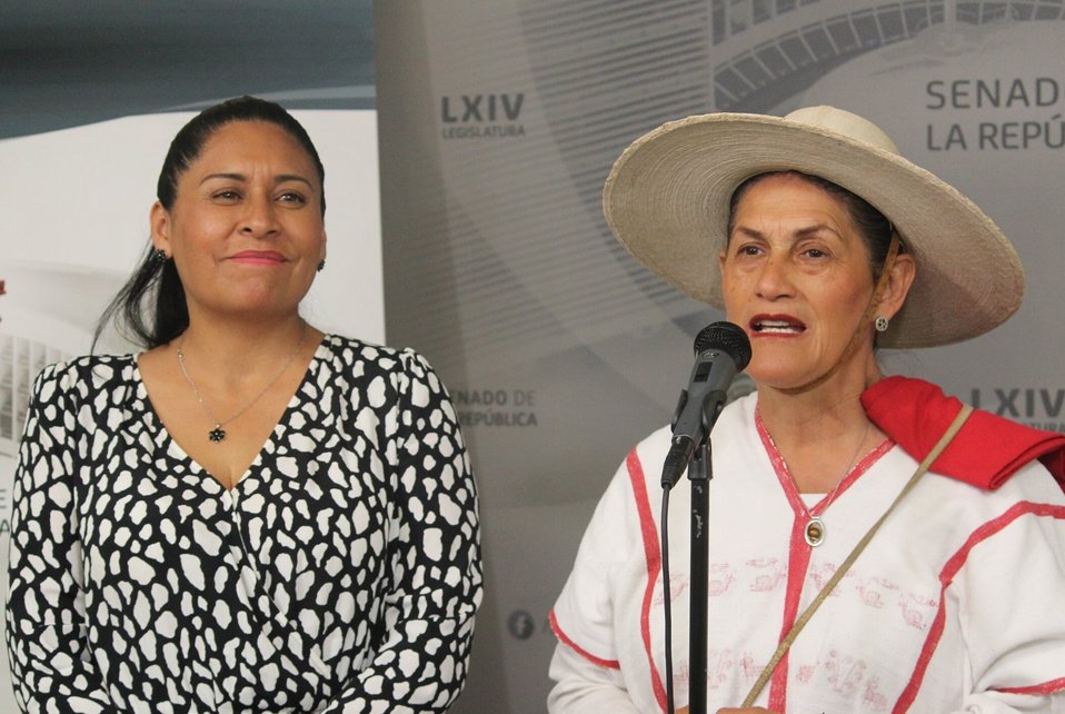 Ana Lilia Rivera y Jesusa Rodríguez, senadoras de Morena. (@Ana_LiliaRivera)