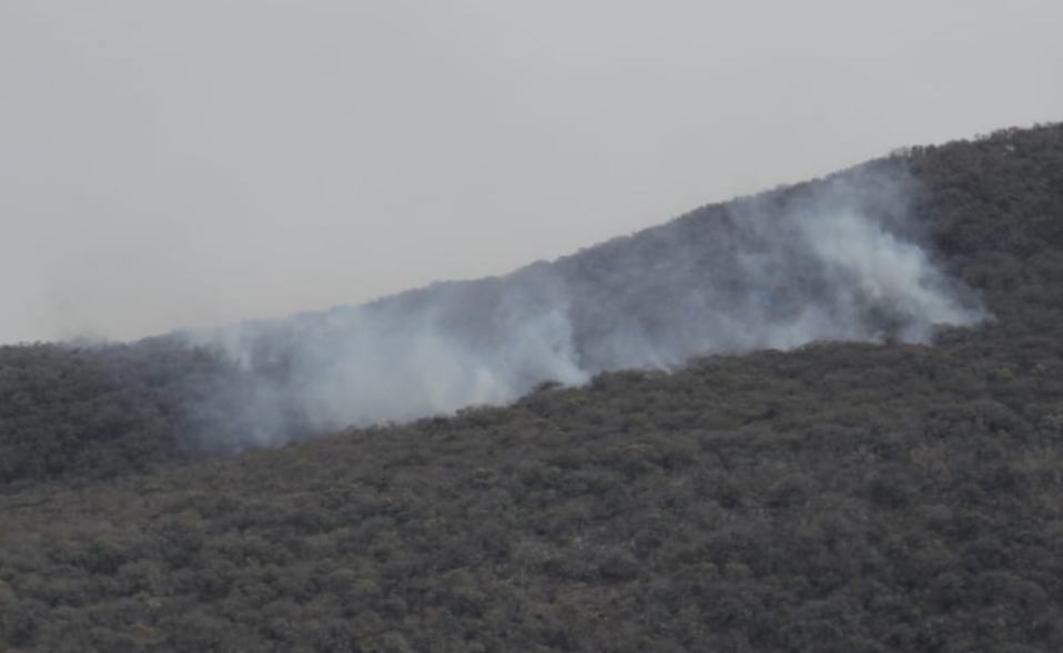 Incendio forestal. (Cortesía)