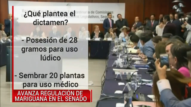 En el Senado comisiones aprobaron el dictamen de la marihuana con fines lúdicos