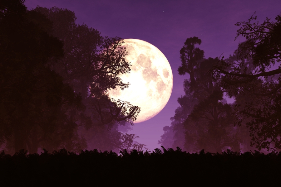 Superluna de marzo: cómo y a qué hora verla (Shutterstock).