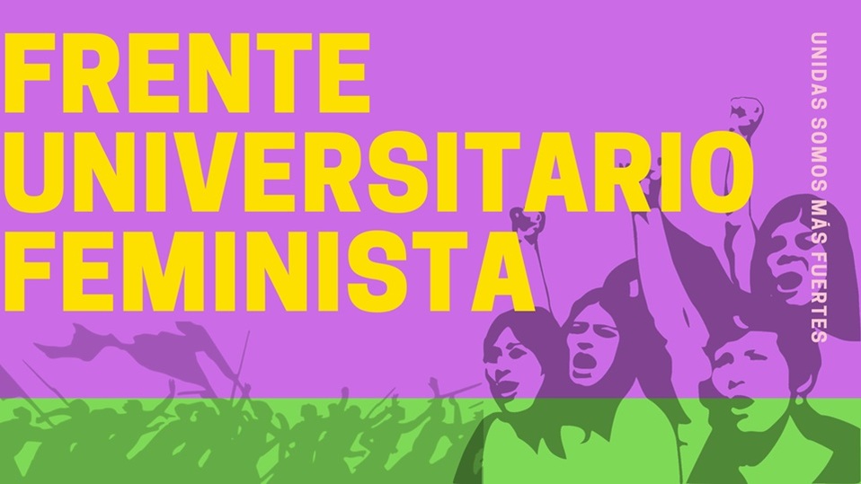 Frente Universitario Feminista. Foto: Especial.