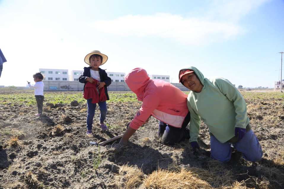 Paro nacional 9 marzo 2020: México en Un día sin mujeres (Andrés Lobato).