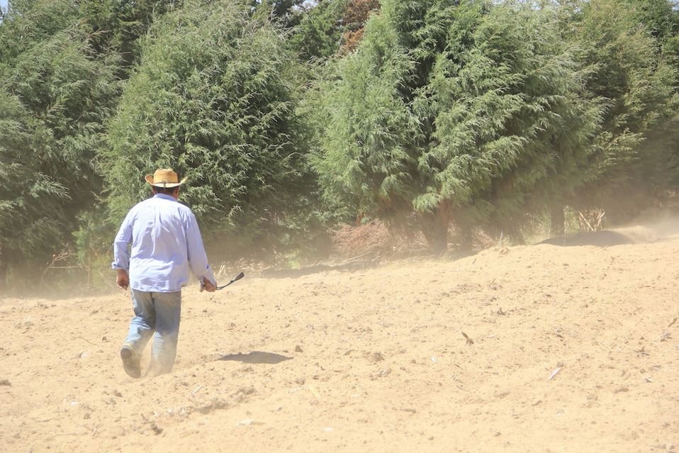 Apoyo al campo en el Edomex. (Tania Contreras)
