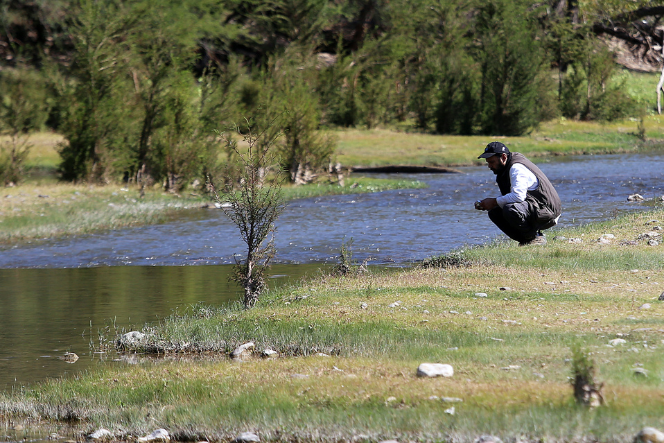 Flora y fauna de La Laguna. (Rolando Riestra)