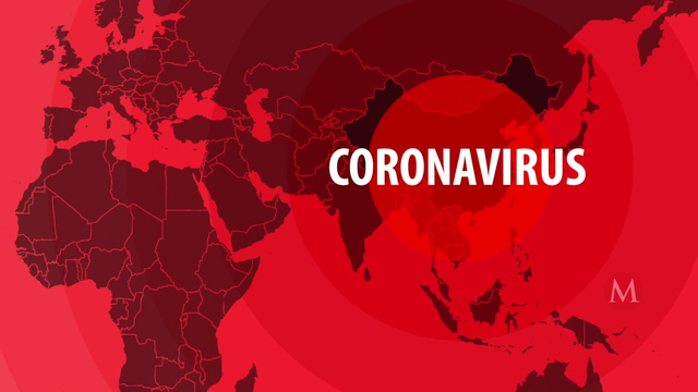 Momentos con Lourdes Mendoza. Paráis de medio mundo por el coronavirus
