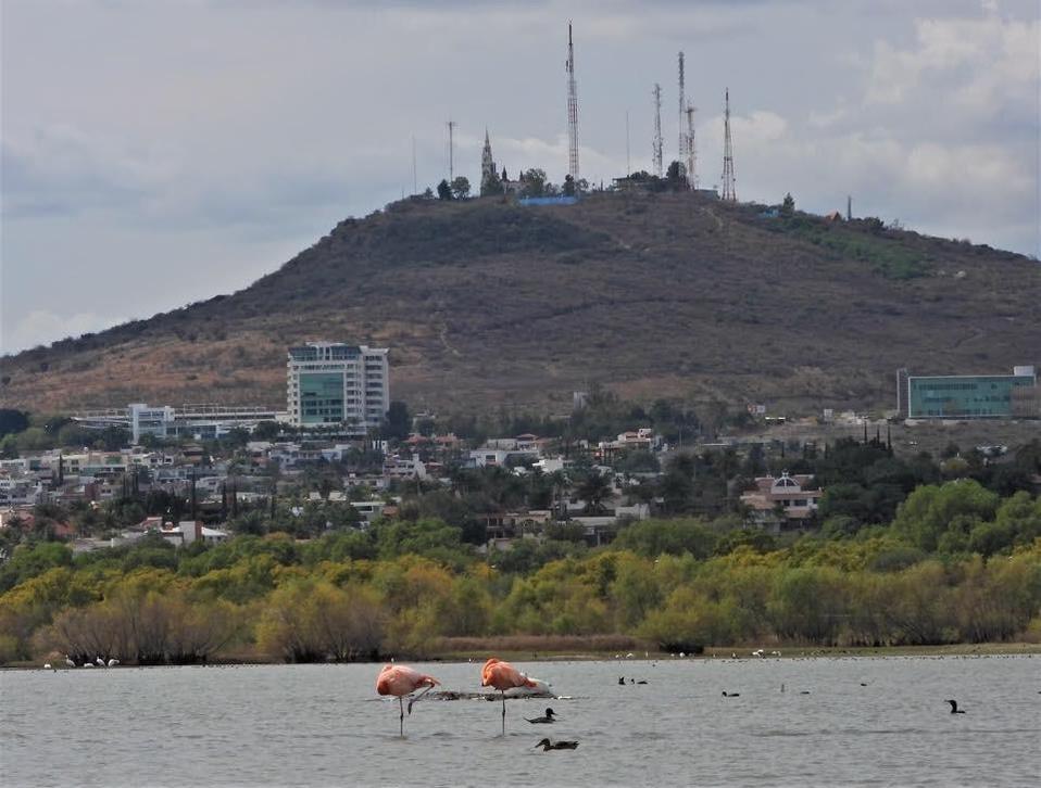 Parque metropolitano de León podría tener acceso gratuito los domingos.