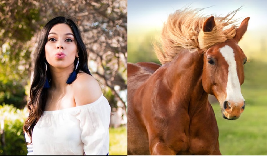 Lizbeth Rodríguez se caracteriza como un caballo. (Instagram)
