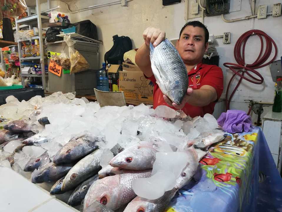 Comercios (Foto/ANTONIO CAMPOS)