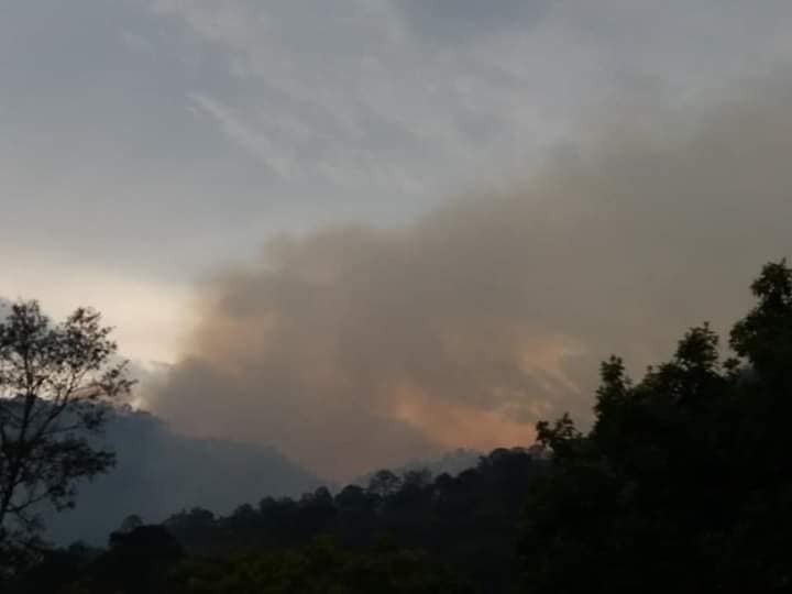 Incendio en Xichú. Fotos: Redes sociales