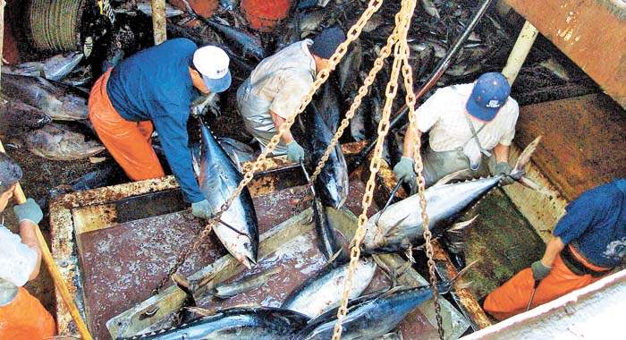 En 2019 la Profeco realizó un estudio sobre la calidad del producto. Cuartoscuro