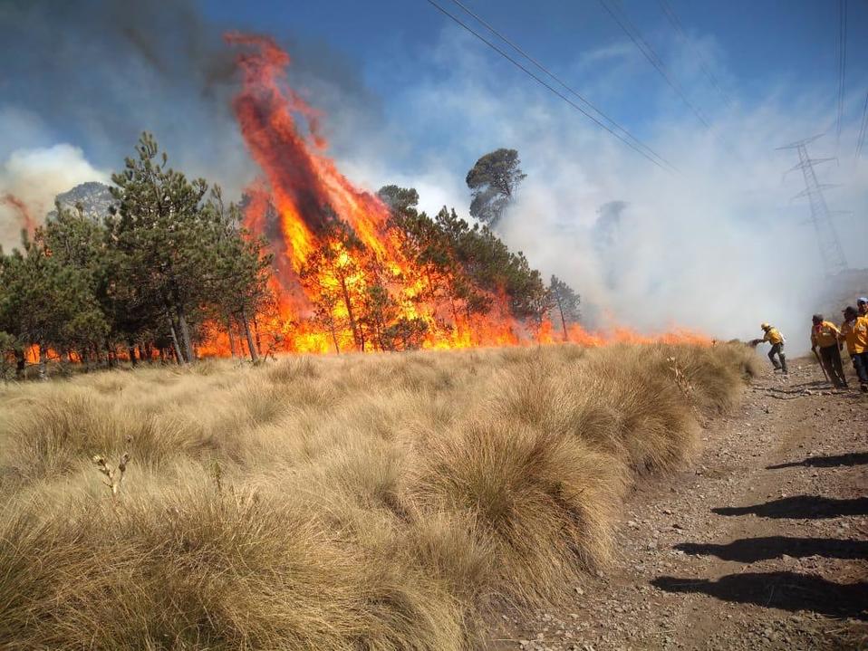 Incendio forestal en CdMx. (Especial)