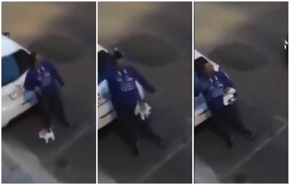 Policía atrapa a hombre que salió a la calle a pasear un perro de peluche (Captura de pantalla).