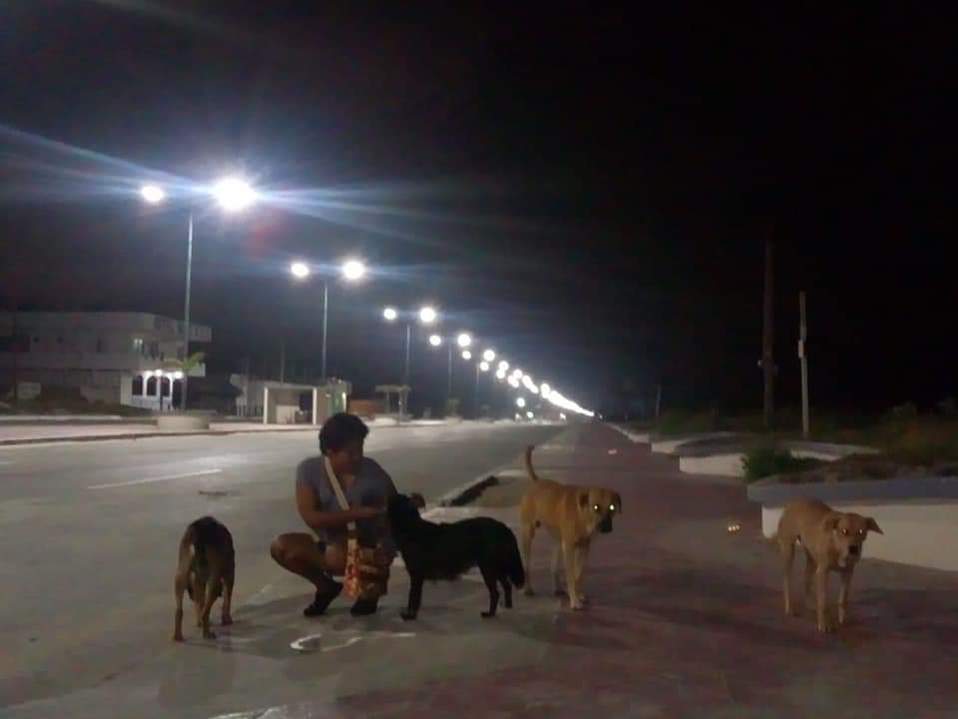 Activista consigue permiso especial para alimentar a los animales