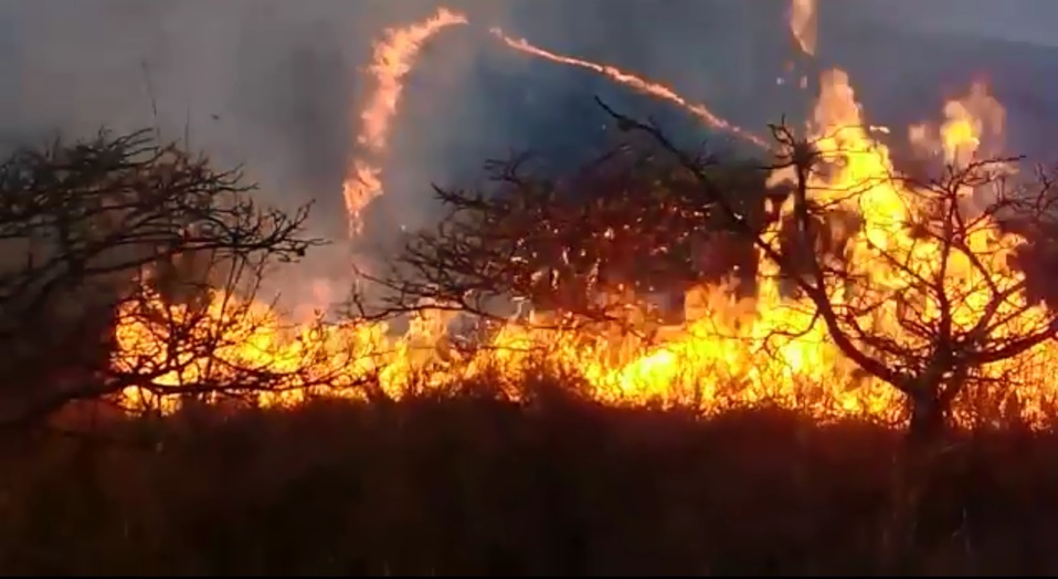 Actualmente las brigadas combaten un siniestro forestal en la Sierra Sur. (Óscar Rodríguez)