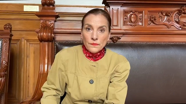 Ojo con la información falsa: Gutiérrez Müller