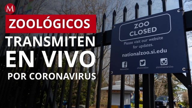 Zoológicos transmiten en vivo tras cerrar por coronavirus