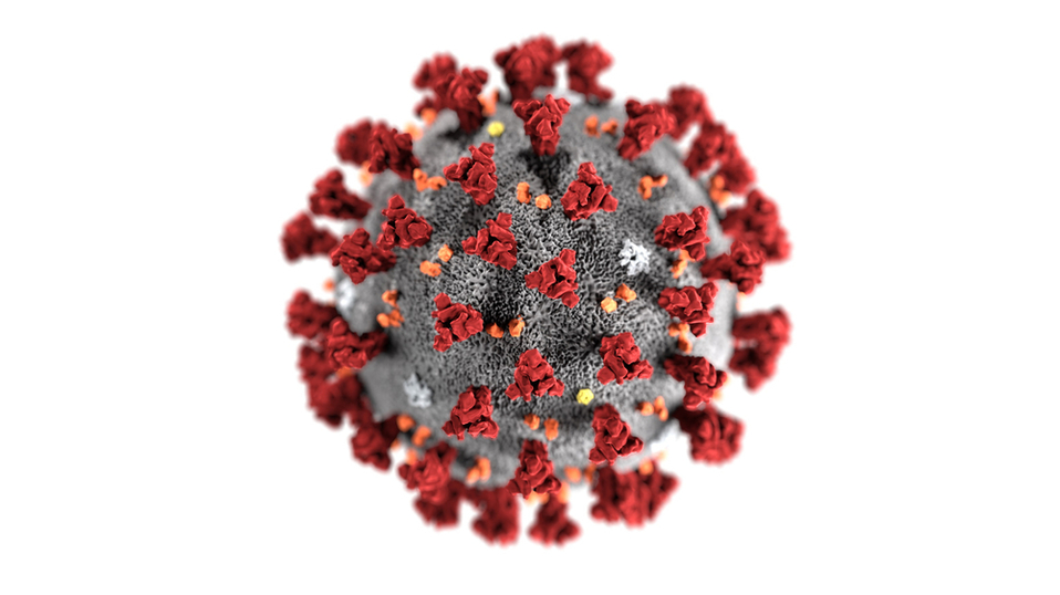 Coronavirus (Shutterstock).
