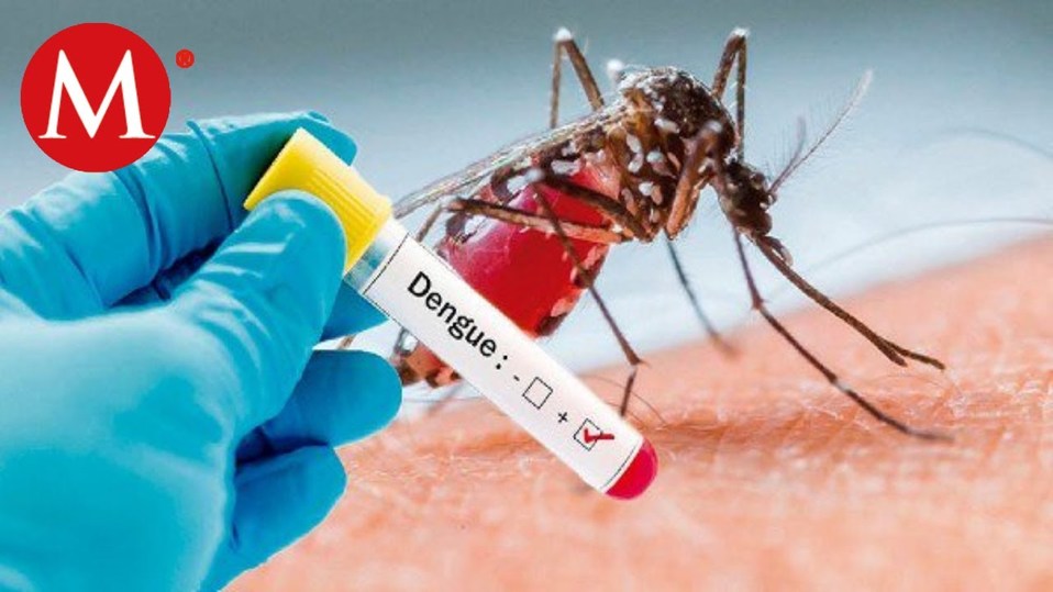 Dengue.